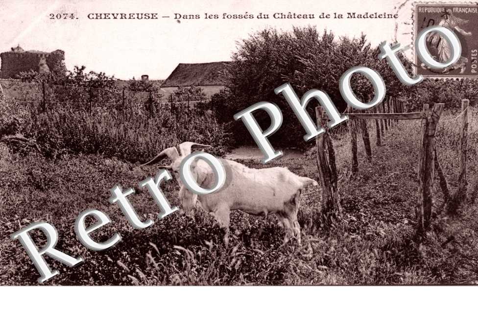 dans les fossés du château de la Madeleine