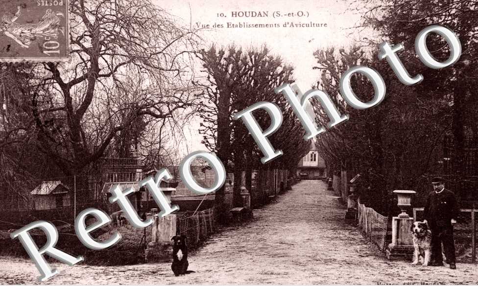 vue des etablissements d&#039;aviculture