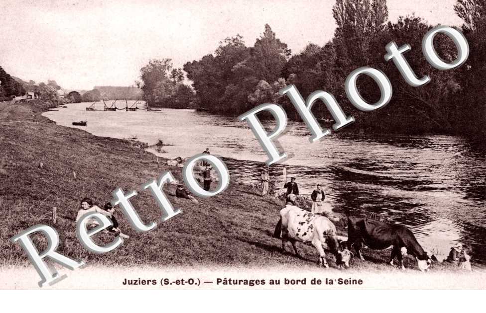les Paturages au Bord de la Seine
