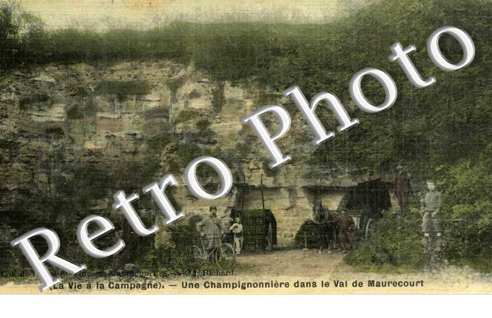 Une Champignonniere