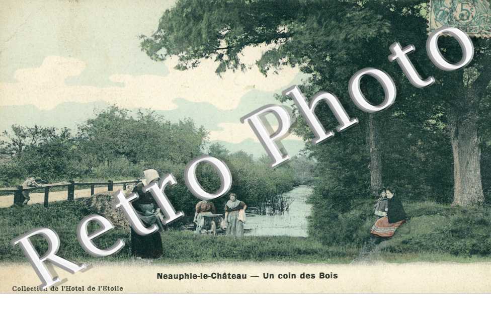 Un coin des bois