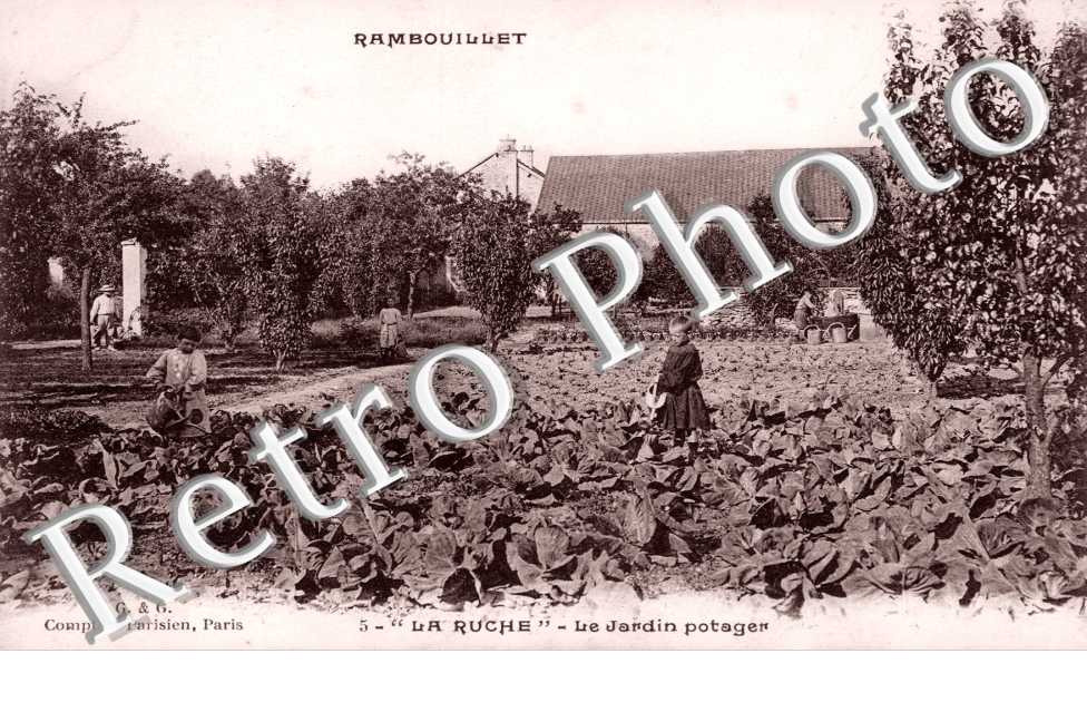 La Ruche, le Jardin Potager