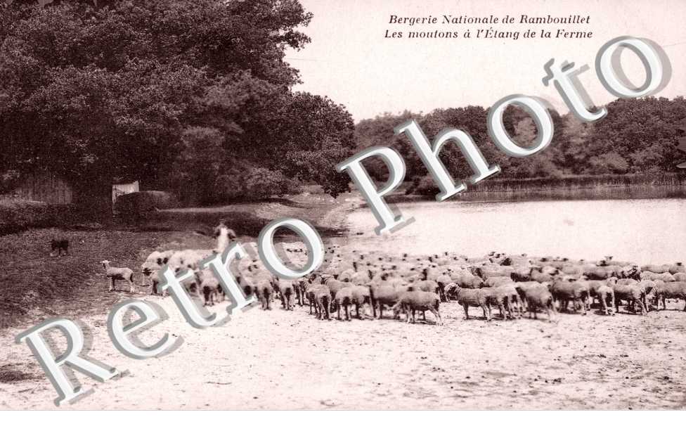 Bergerie Nationale