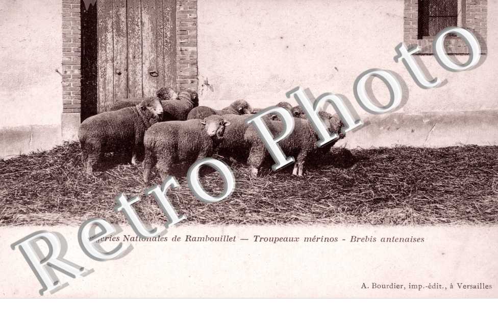 Bergerie Nationale
