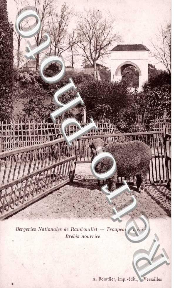 Bergerie Nationale