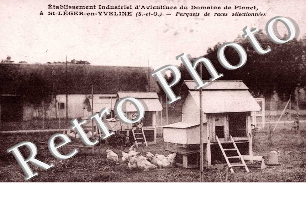 Domaine de Planet  Aviculture