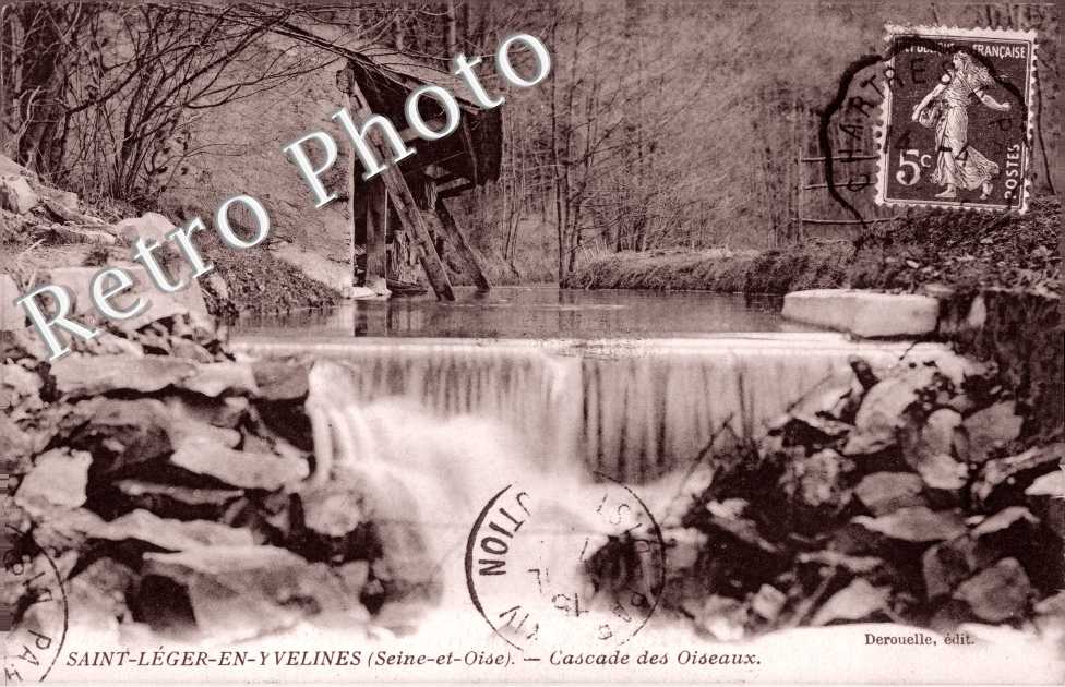 Cascade des oiseaux