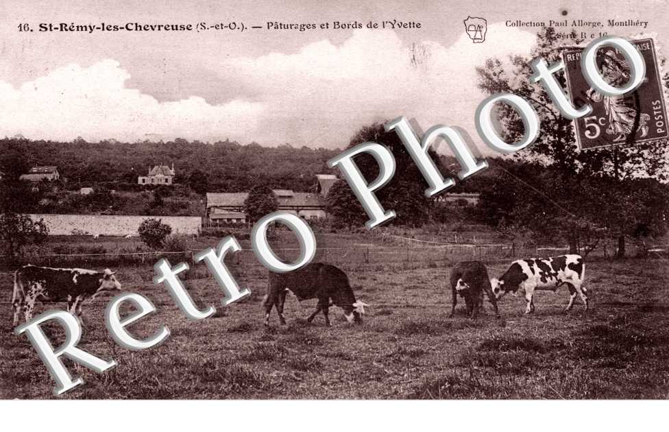 Paturages et bords de l&#039;Yvette