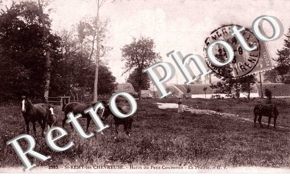 Haras du petit Coubertin