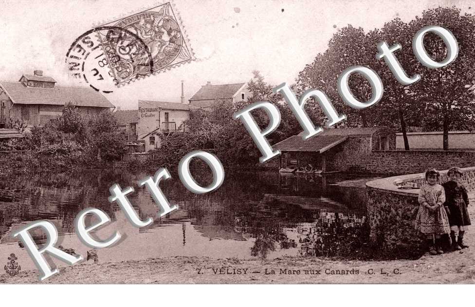 La mare aux canards
