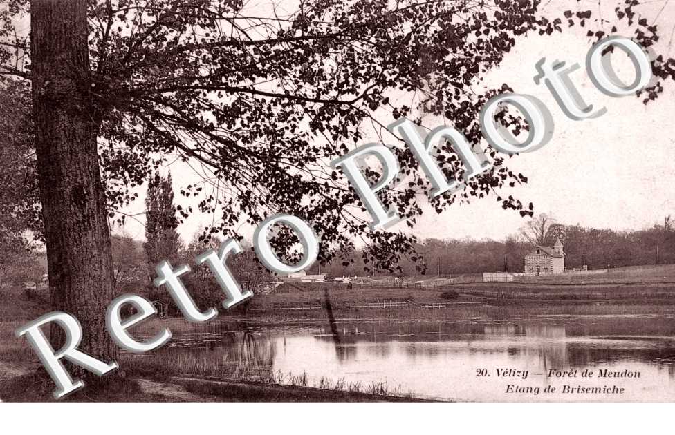Etang de Brisemiche
