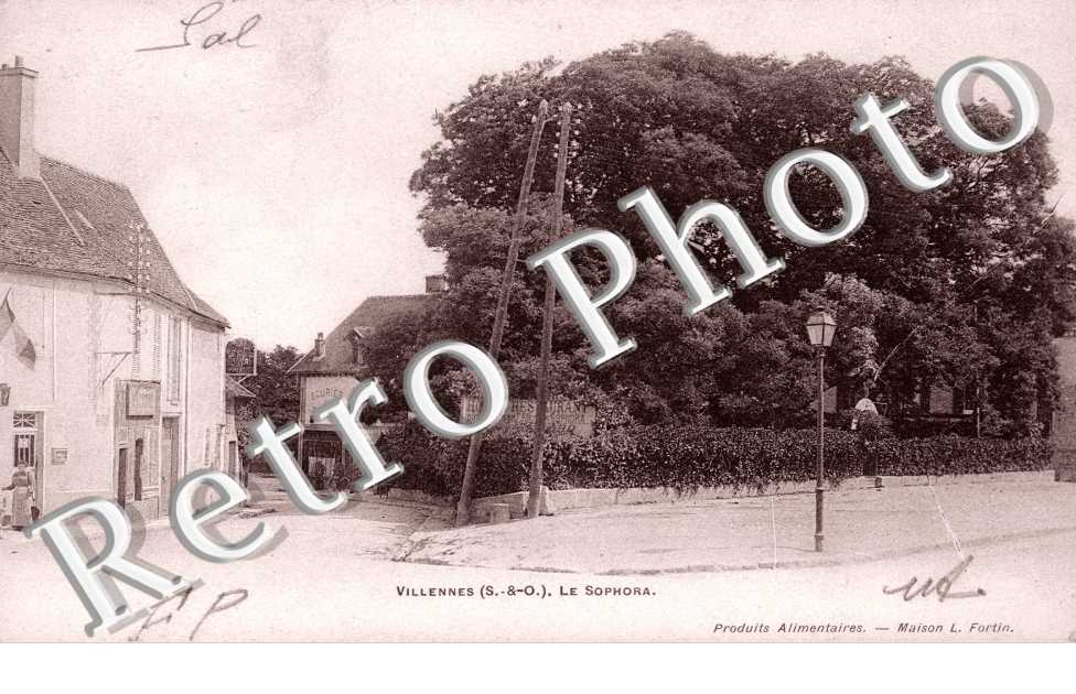 Le Sophora