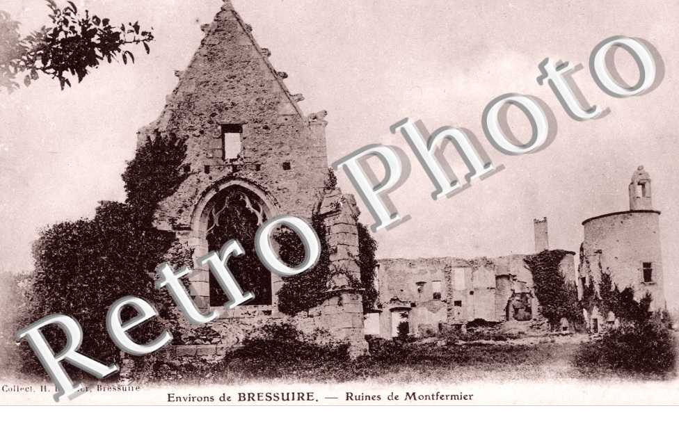 ruines de Montfermier