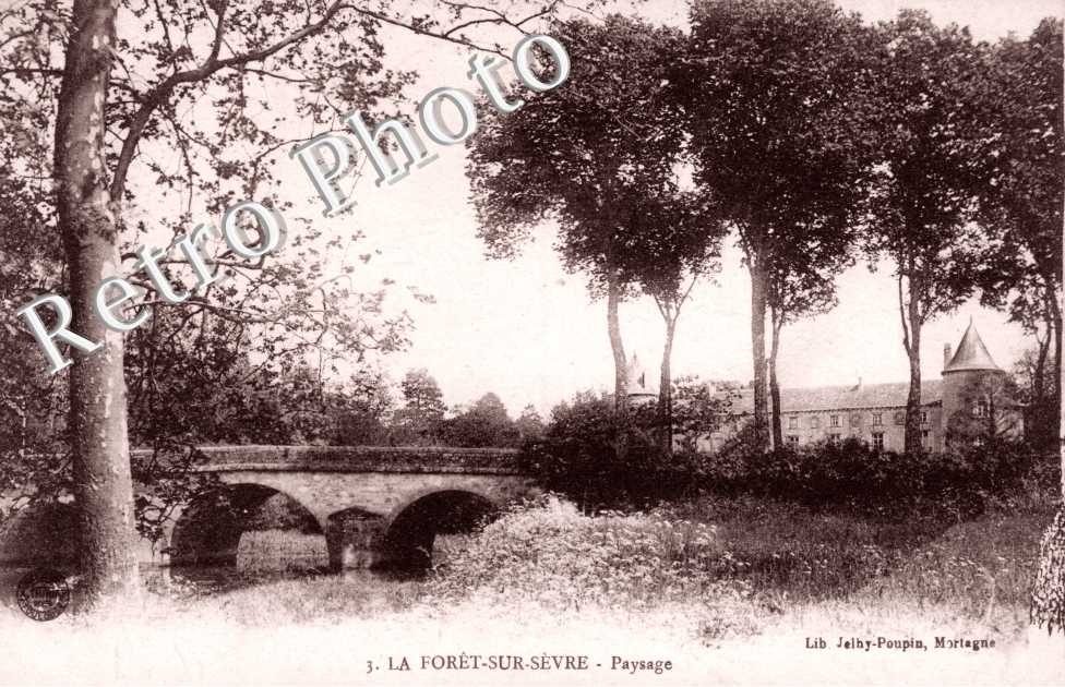 Paysage