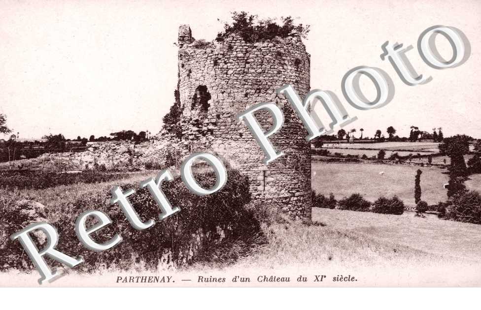 Ruines d'un Chateau du XIeme