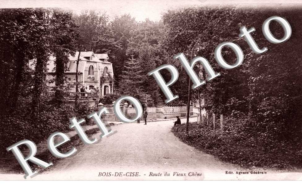 Bois de Cise - rue du grand Chene