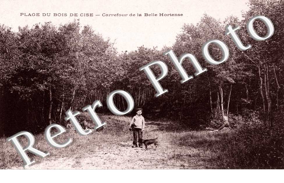 Bois de Cise - Carrefour de la belle Hortense