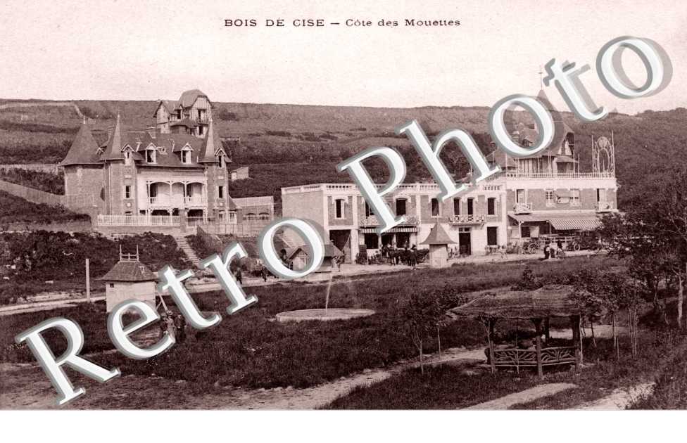 Bois de Cise - Cote des Mouettes