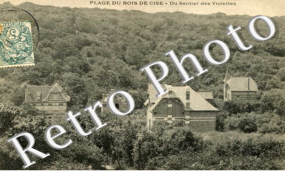Bois de Cise - du sentier des Violettes