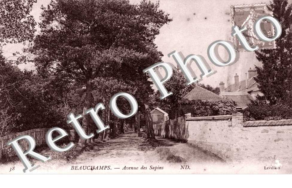 Avenue des Sapins