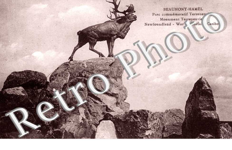 Parc commemoratif Terreneuvien