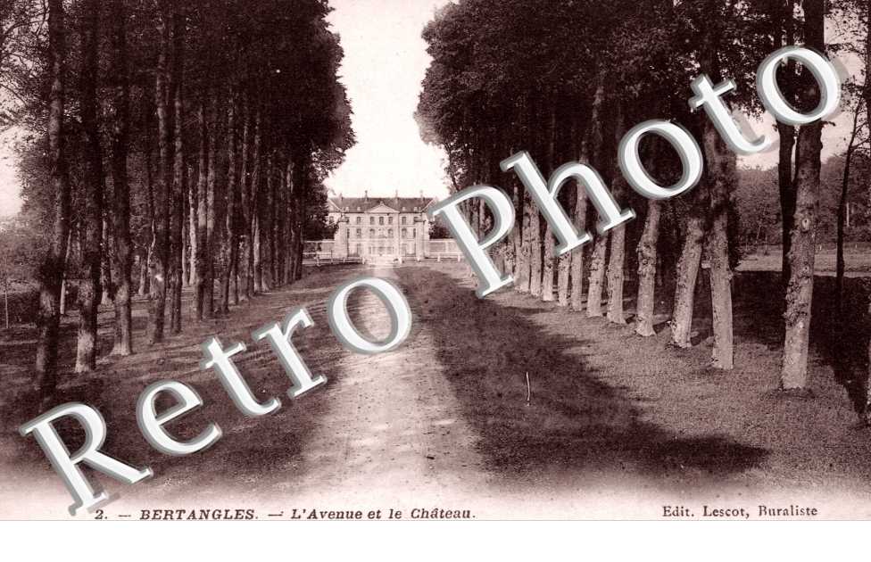 L&#039;Avenue et le Chateau