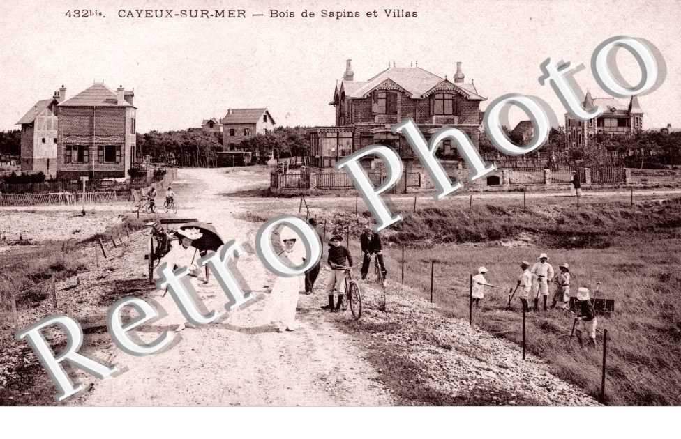 Bois de sapins et Villas