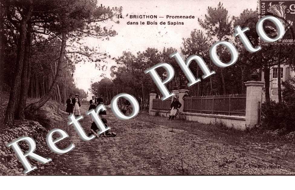Brighton Promenade dans le bois de sapin