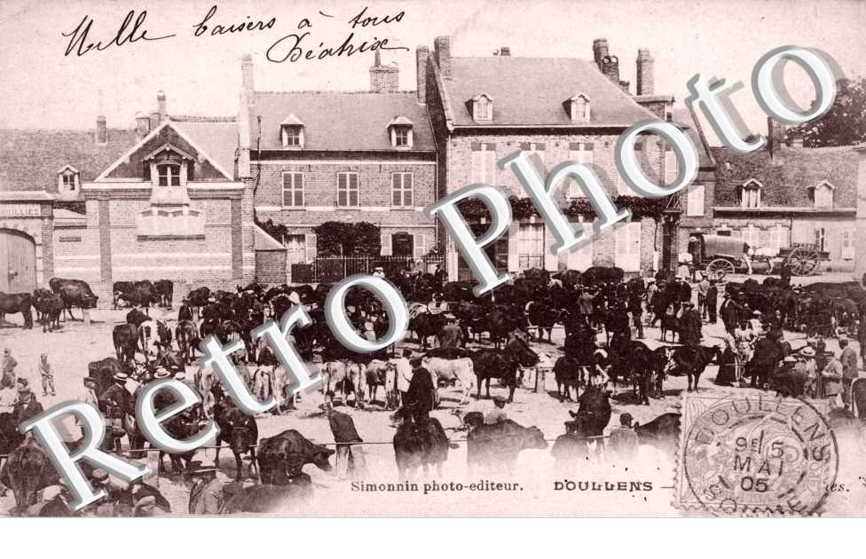 des vaches devant une maison