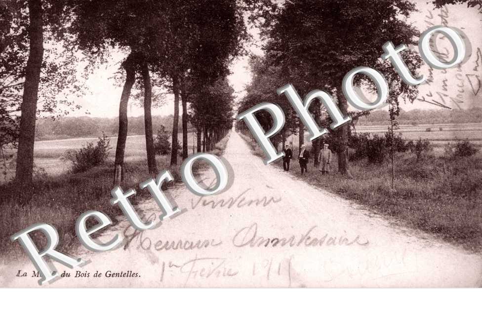 La Montee du Bois
