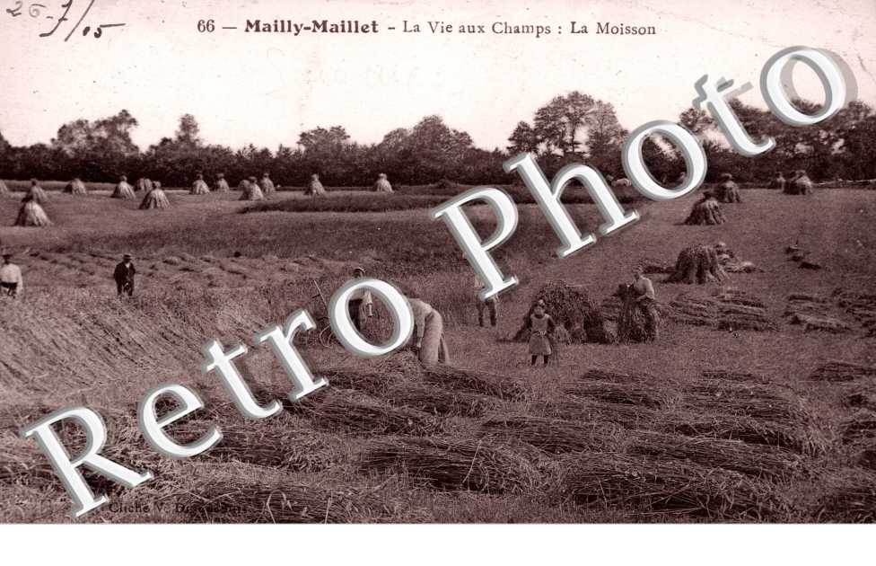la Vie au Champ: la Moisson