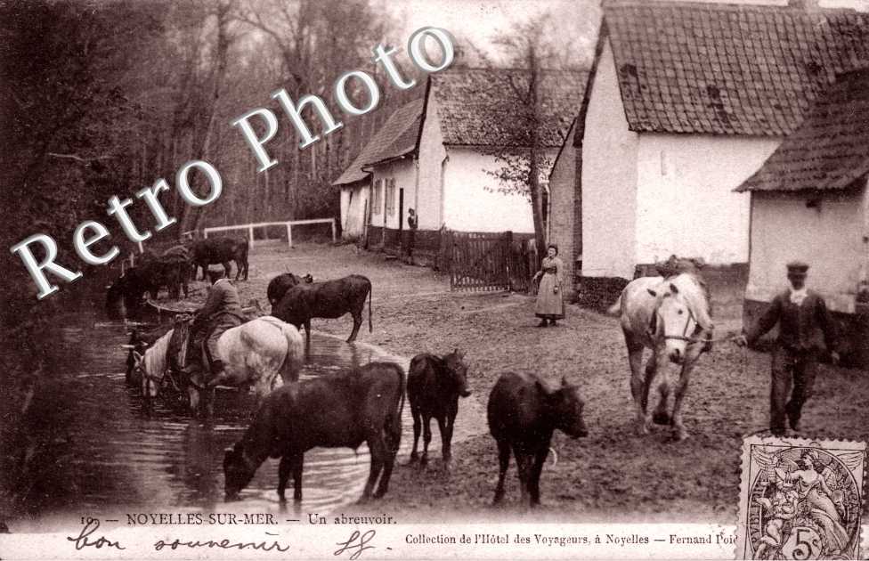 un Abreuvoir