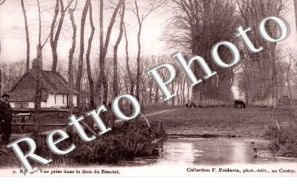 vue prise dans le bois du Broutel