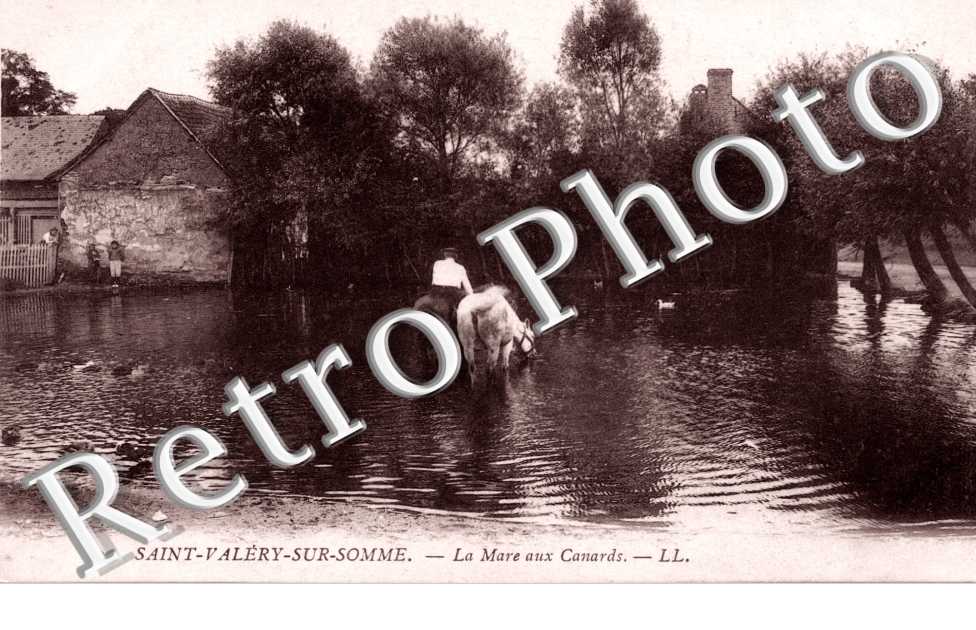 la mare aux canards