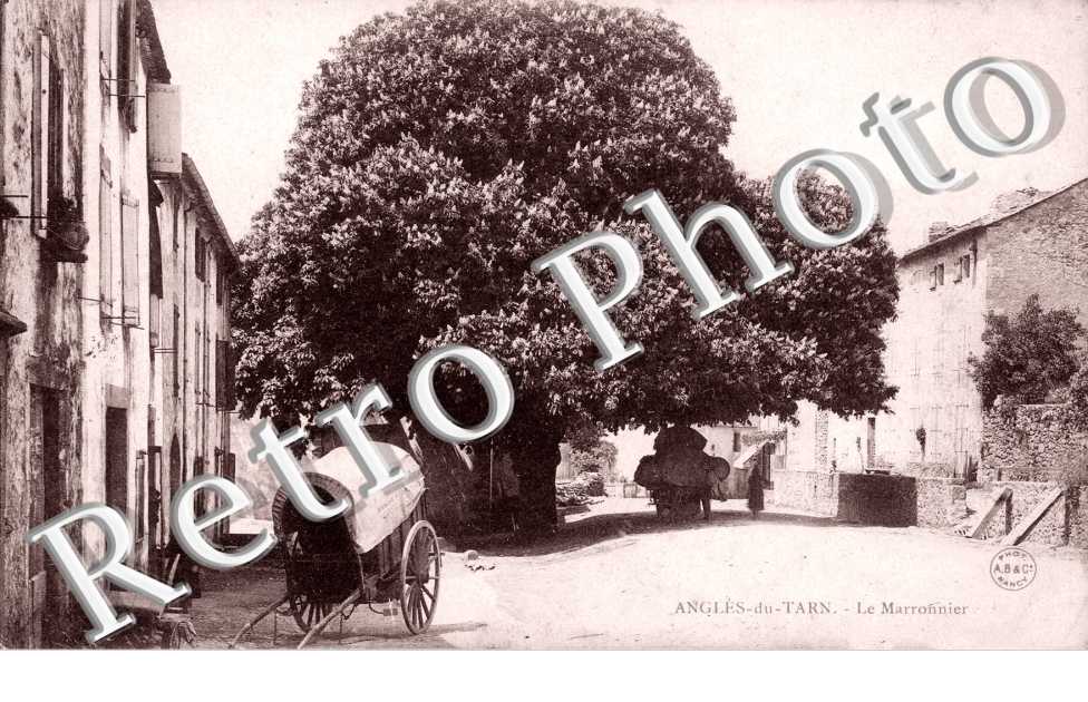 Le Marronnier