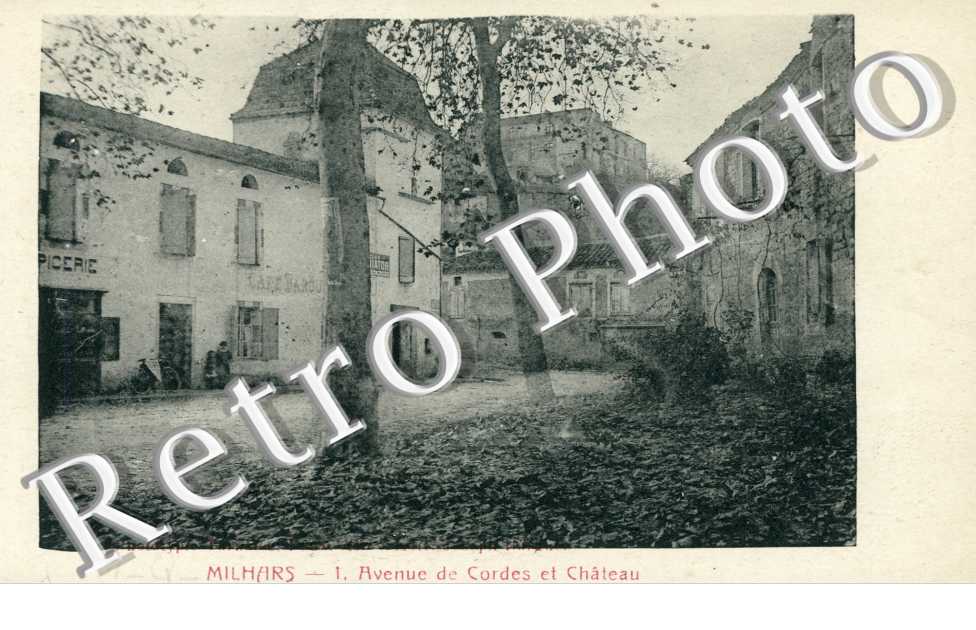 Avenue de Cordes et chateau
