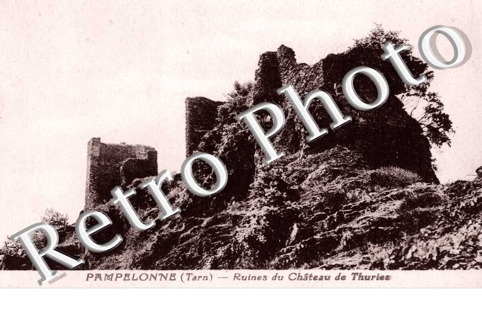 Ruines du château de Thuriez