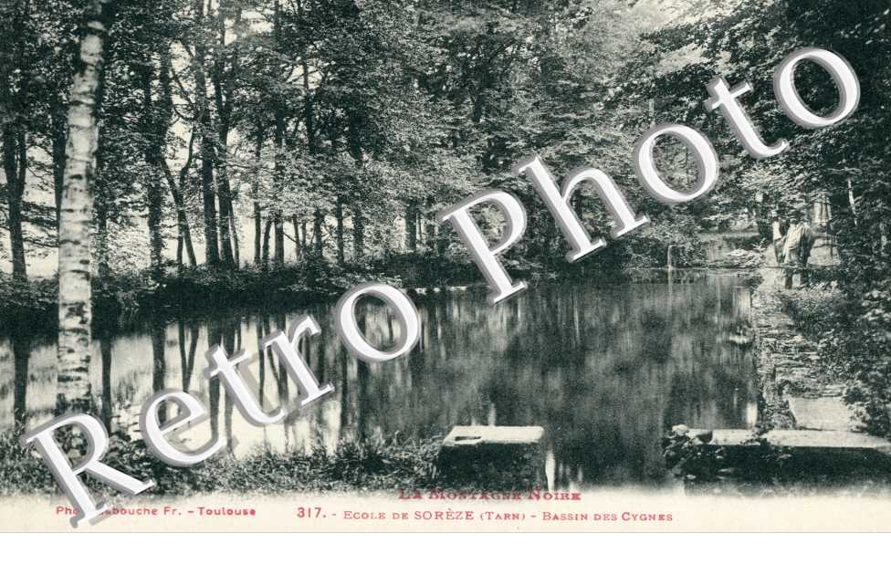 Le Bassin des Cygnes de l'Ecole