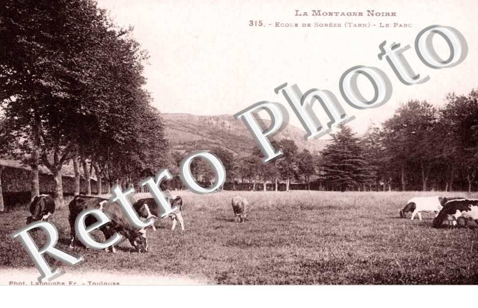 Le Parc de l'Ecole