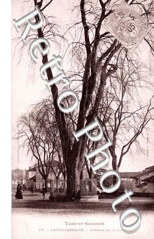 l&#039;Arbre de la Liberte
