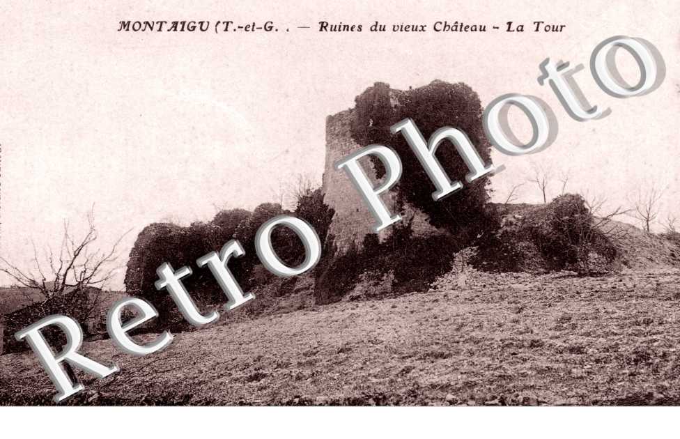 Ruines du vieux Chateau