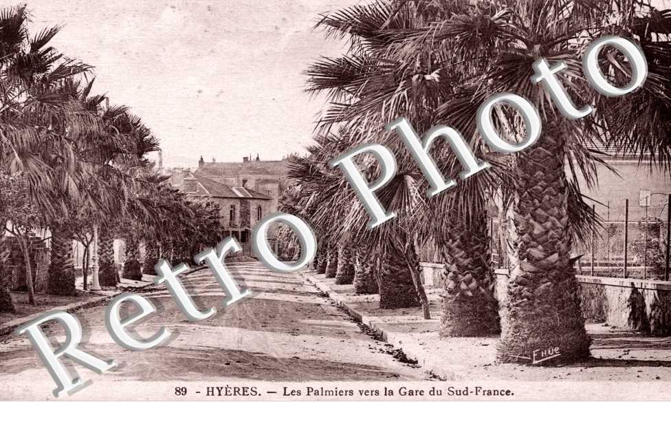 les palmiers vers la gare