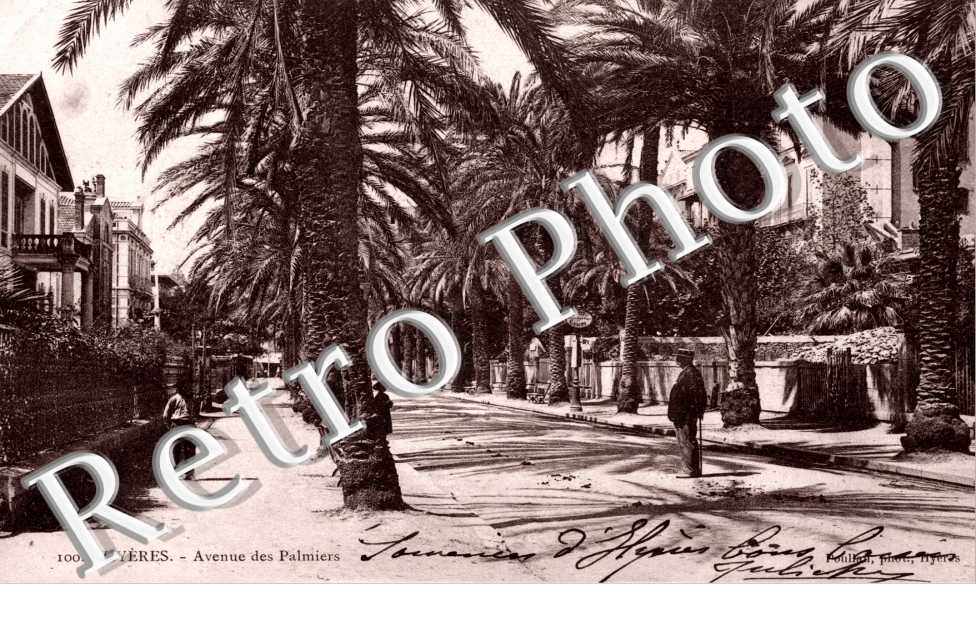 avenue des Palmiers