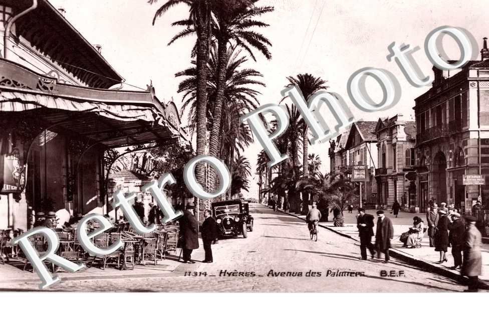 Avenue des Palmiers
