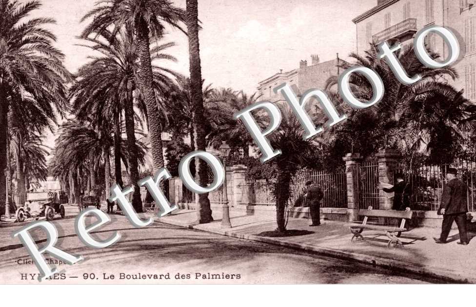 le Boulevard des Palmiers