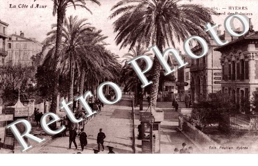 Boulevard des Palmiers