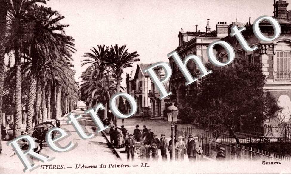 Avenue des Palmiers