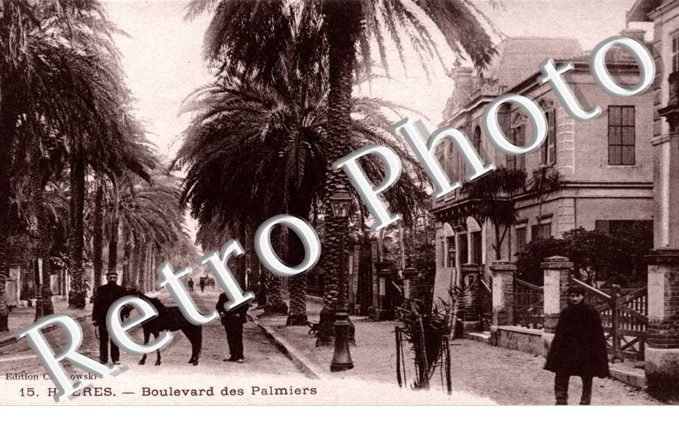Boulevard des Palmiers