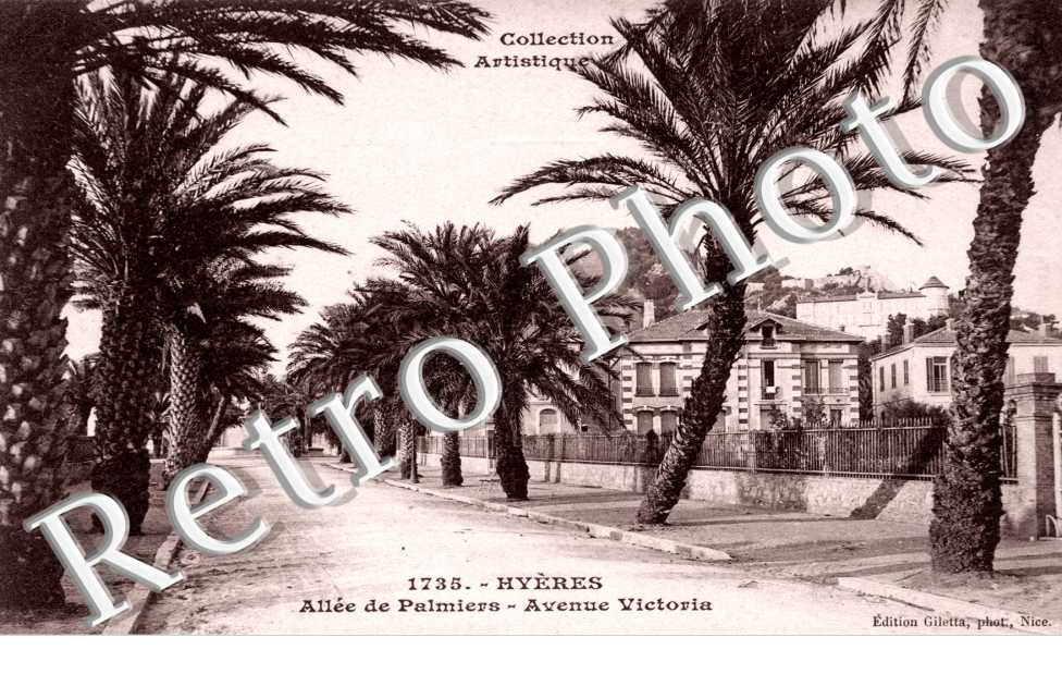 Allee des Palmiers