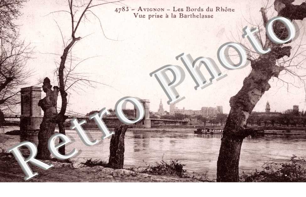 Les bords du Rhone Vue prise a la Barthelasse